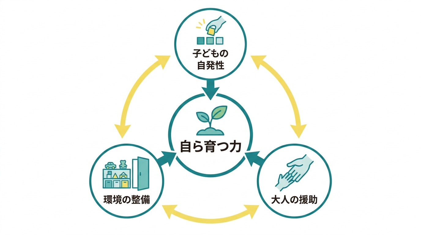 モンテッソーリ教育の基本